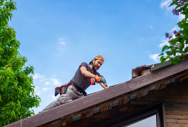 Professional Roofing services in Nicholson, MS